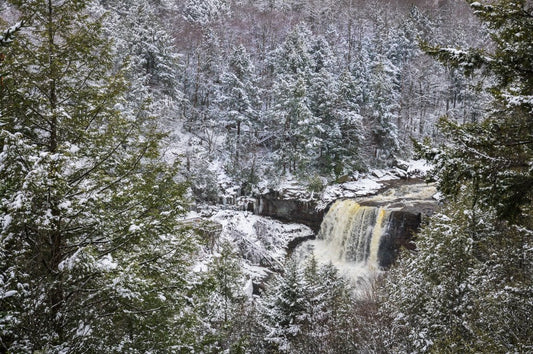 Blackwater Falls in Winter - Reflection in a Pool