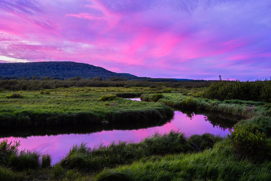 Blackwater River Reflections - Reflection in a Pool