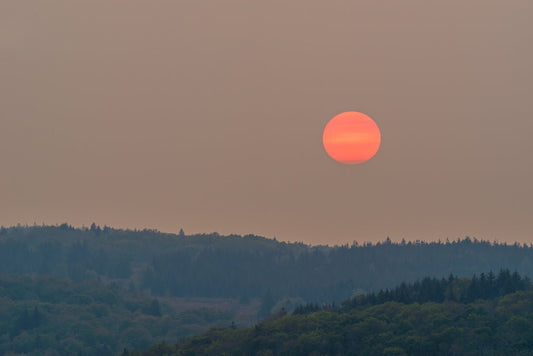 Dolly Sods Hazy Sunset - Reflection in a Pool