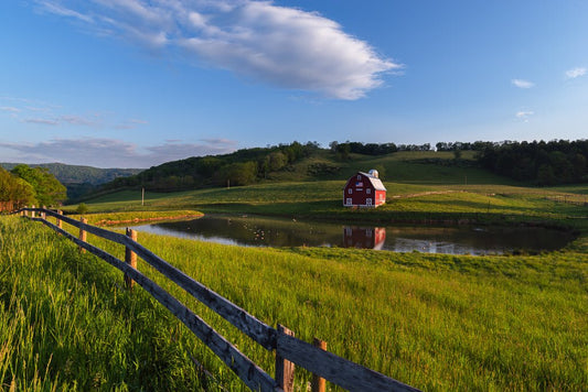 Edray Barn 2 - Reflection in a Pool