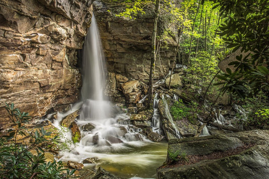 Fern Creek Falls - Reflection in a Pool