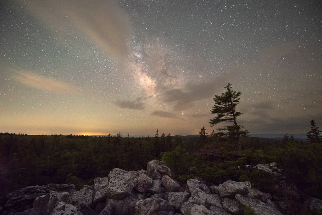 Flagged Spruce under the Milky Way - Reflection in a Pool