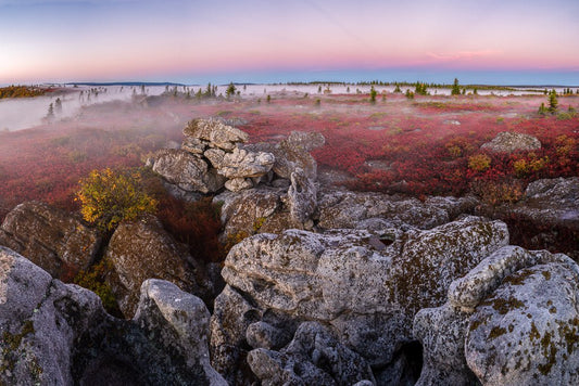 Foggy Rock Garden - Reflection in a Pool