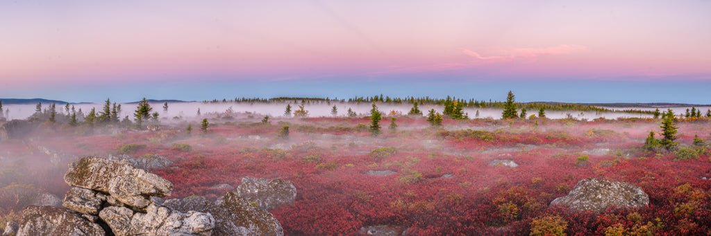 foggy-rock-garden-panorama-reflection-in-a-pool