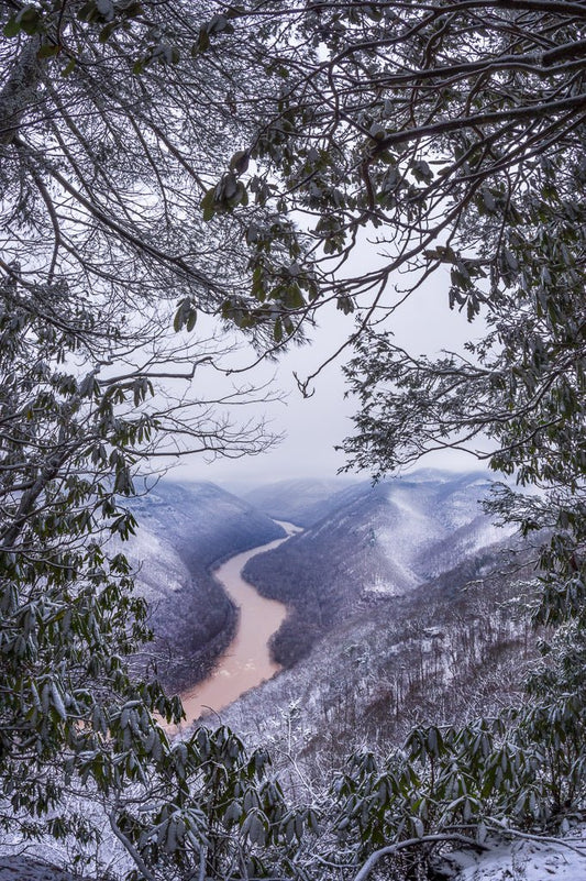 Grandview Winter Frame - Reflection in a Pool