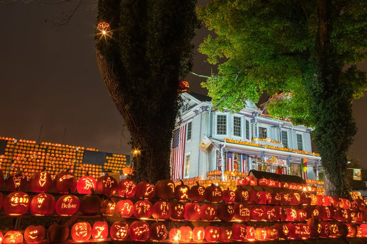 Griffith Pumpkin House - Reflection in a Pool