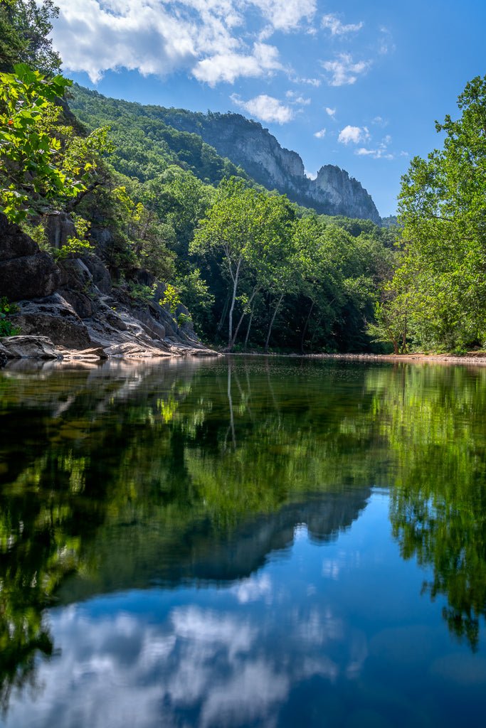 In the Shadow of Seneca - Reflection in a Pool