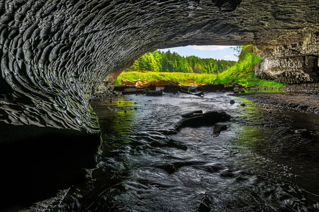 Inside the Beast - Reflection in a Pool