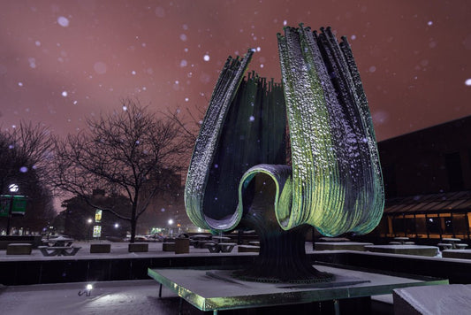 Marshall Memorial Fountain - Reflection in a Pool