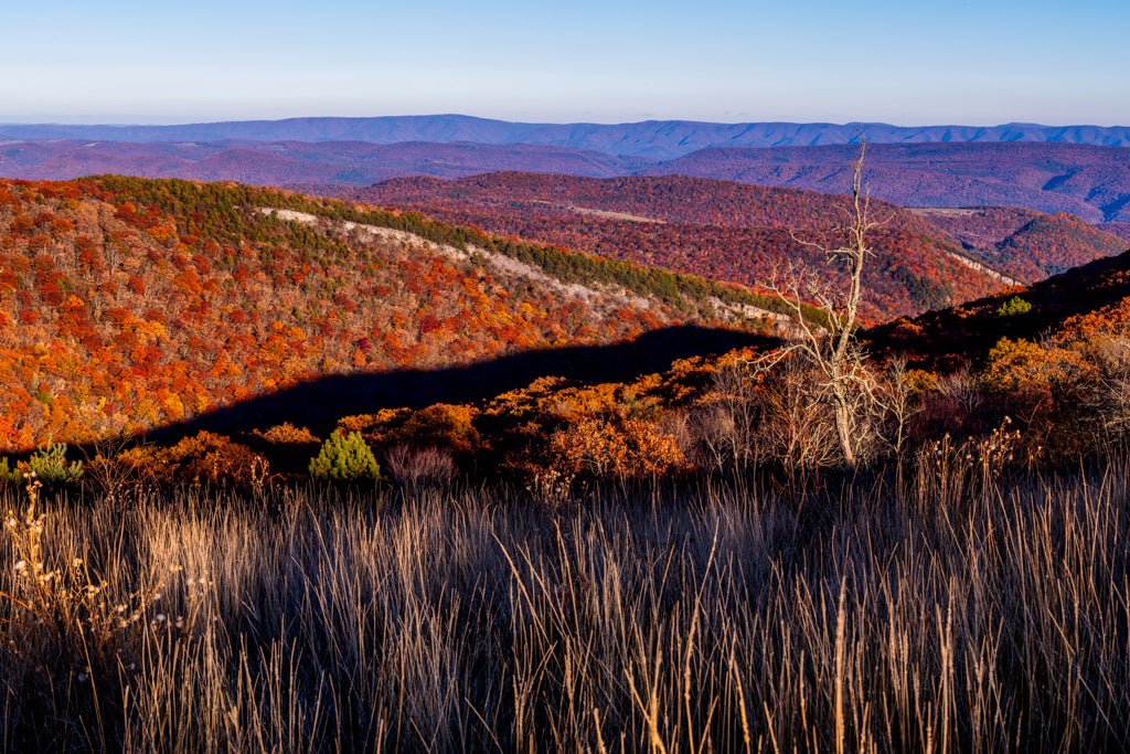Nelson Sods Eastern Views - Reflection in a Pool