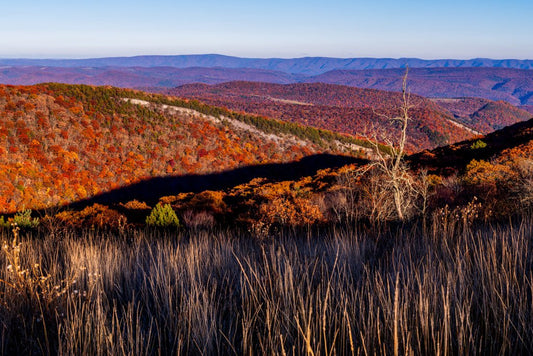 Nelson Sods Eastern Views - Reflection in a Pool