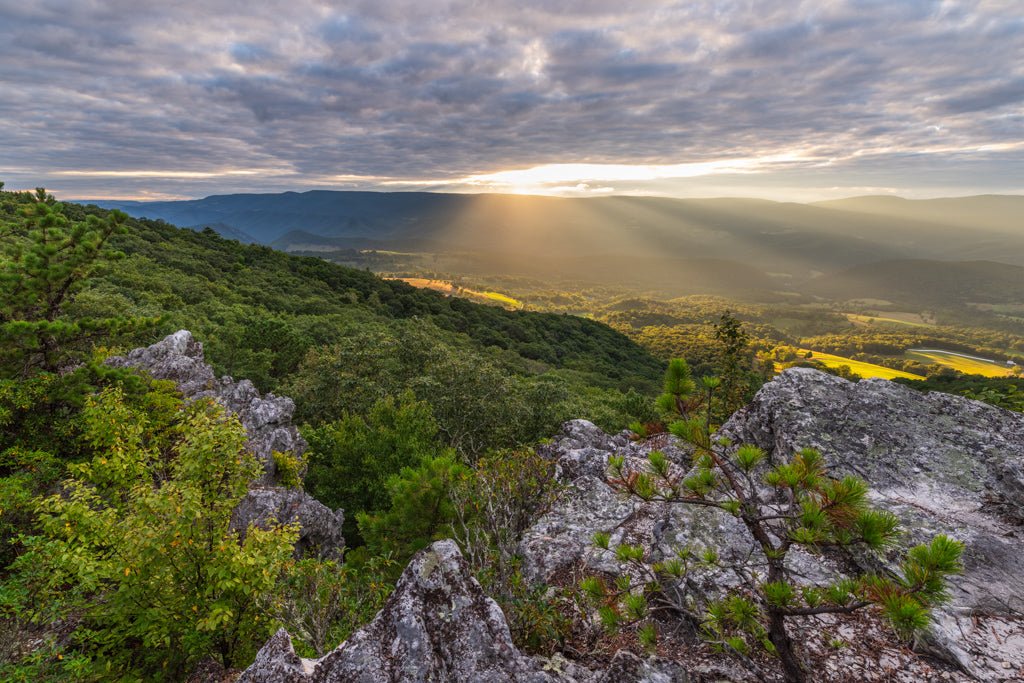 Sun Rays over Germany Valley - Reflection in a Pool