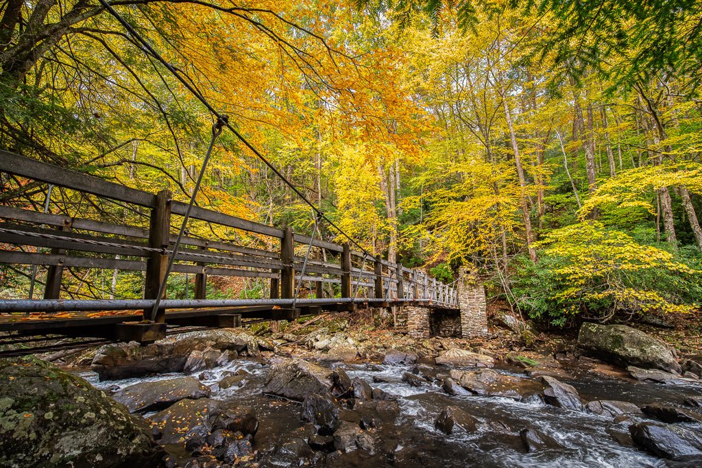 Swinging Bridge Yellows - Reflection in a Pool