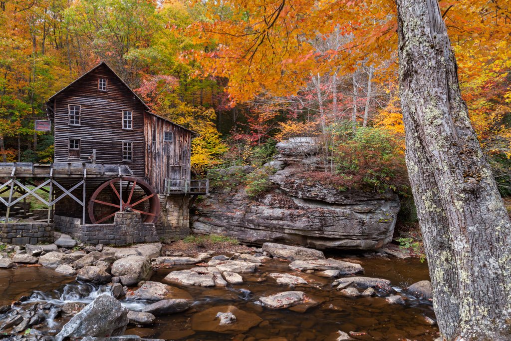 The Mill - Reflection in a Pool