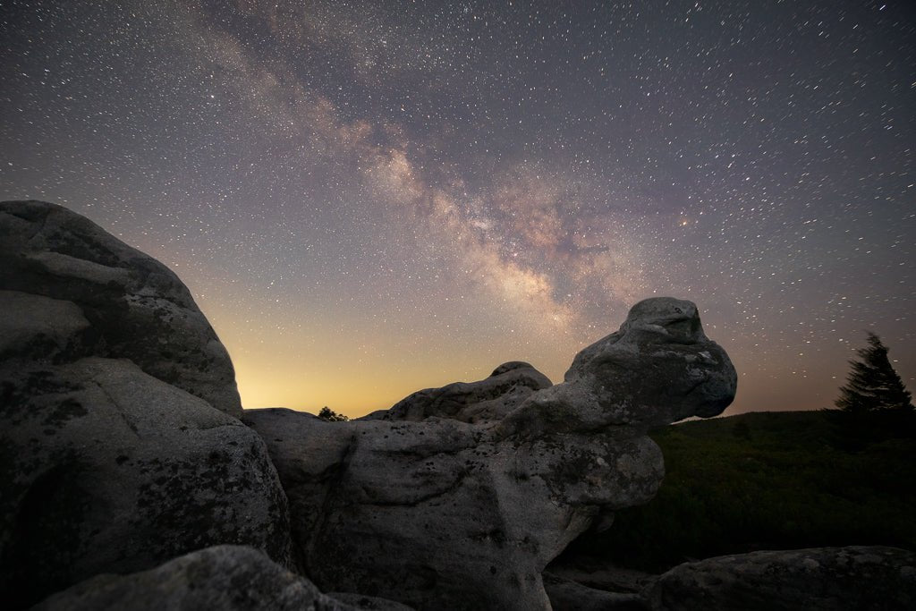 The Turtle and the Milky Way - Reflection in a Pool