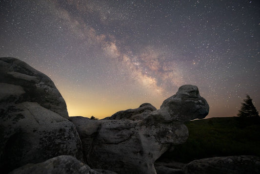 The Turtle and the Milky Way - Reflection in a Pool