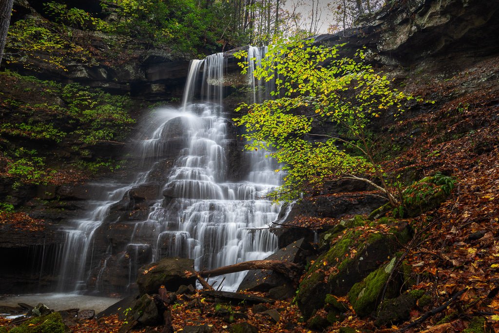 White Oak Creek Falls - Reflection in a Pool