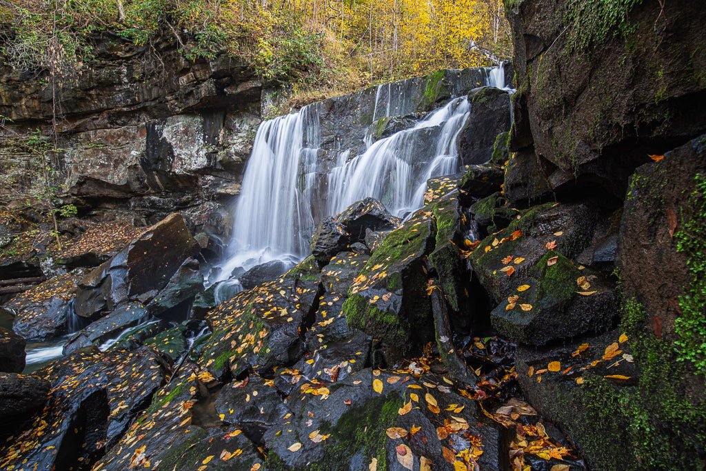 Wolf Creek Falls Autumn - Reflection in a Pool