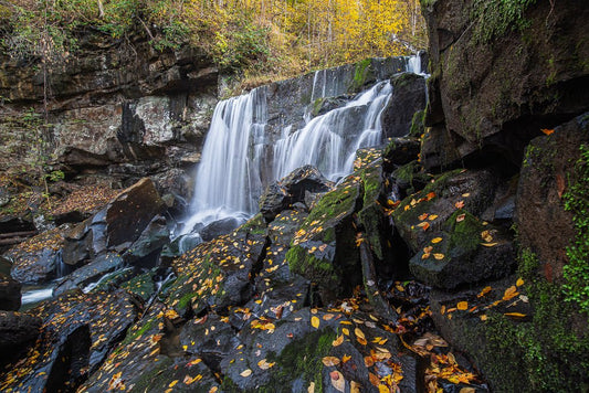 Wolf Creek Falls Autumn - Reflection in a Pool
