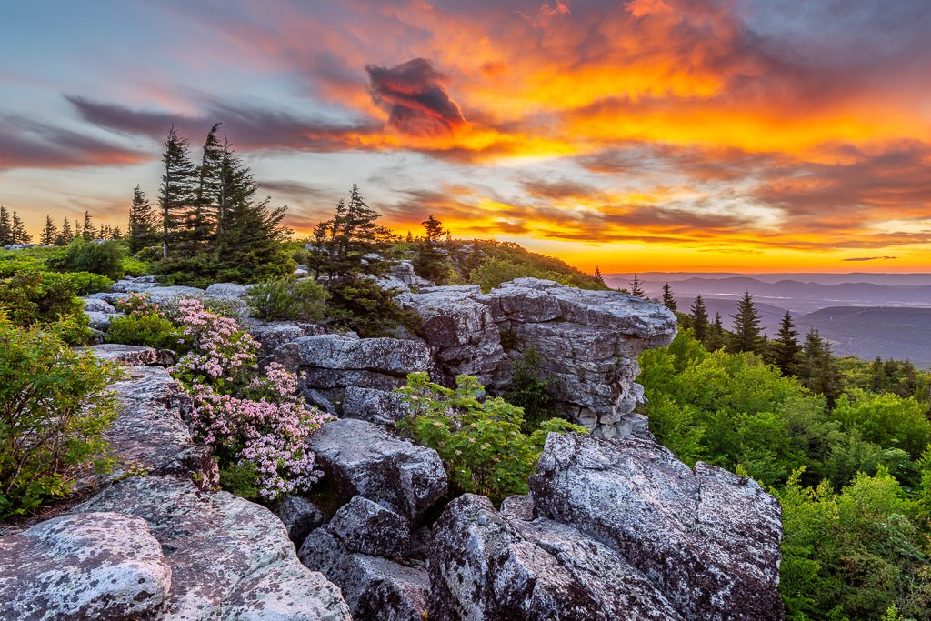 Dolly Sods Blackwater Falls Canaan Valley WV Photography – Reflection ...