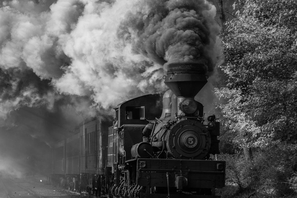 Black & White Autumn Train