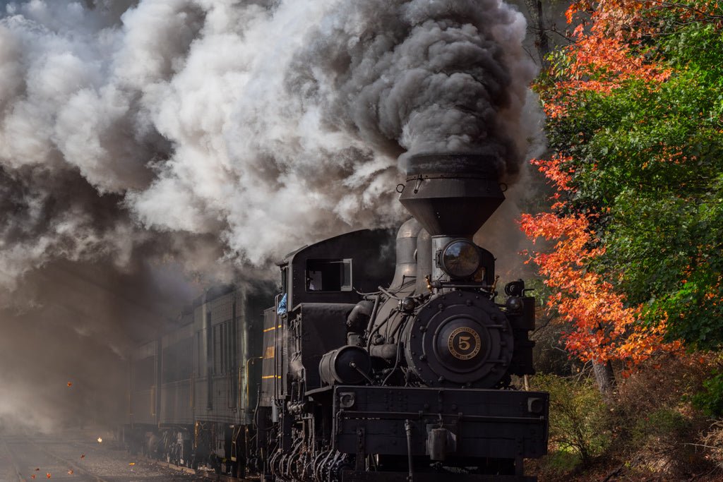 Autumn Train - Reflection in a Pool