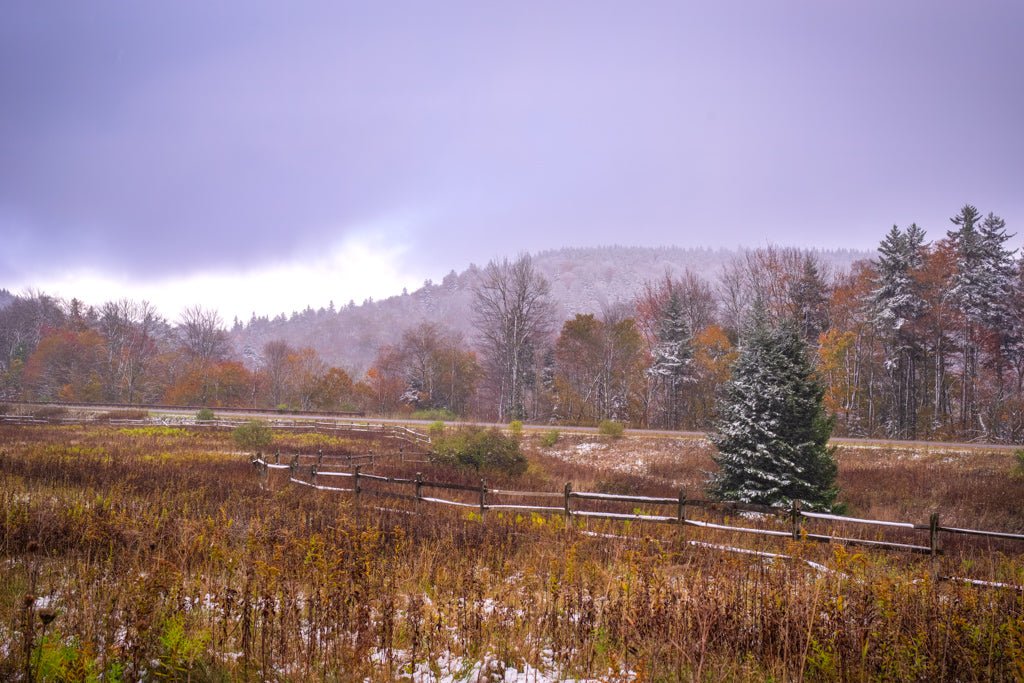 Two Seasons at Tea Creek Meadow - Reflection in a Pool