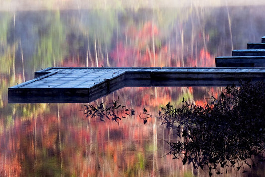 Watoga State Park - Through the Looking Glass - Reflection in a Pool