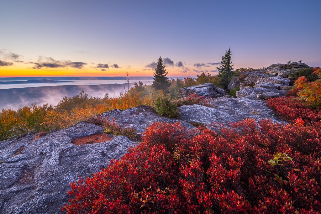 Bear Rocks Autumn Dawn 2 - Dolly Sods Wilderness, WV – Reflection in a Pool