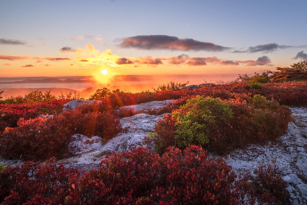 Bear Rocks Autumn Dawn 3 - Dolly Sods, WV – Reflection in a Pool