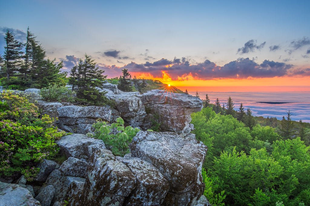 Bear Rocks Sunrise – Reflection in a Pool