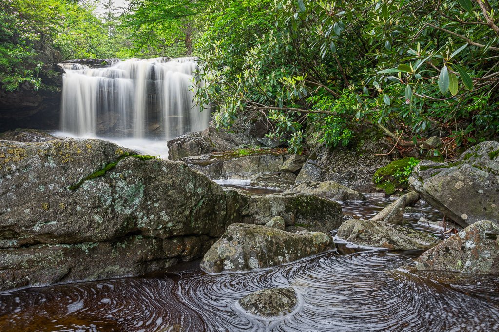 Big Run Monongahela National Forest, WV Reflection in a Pool