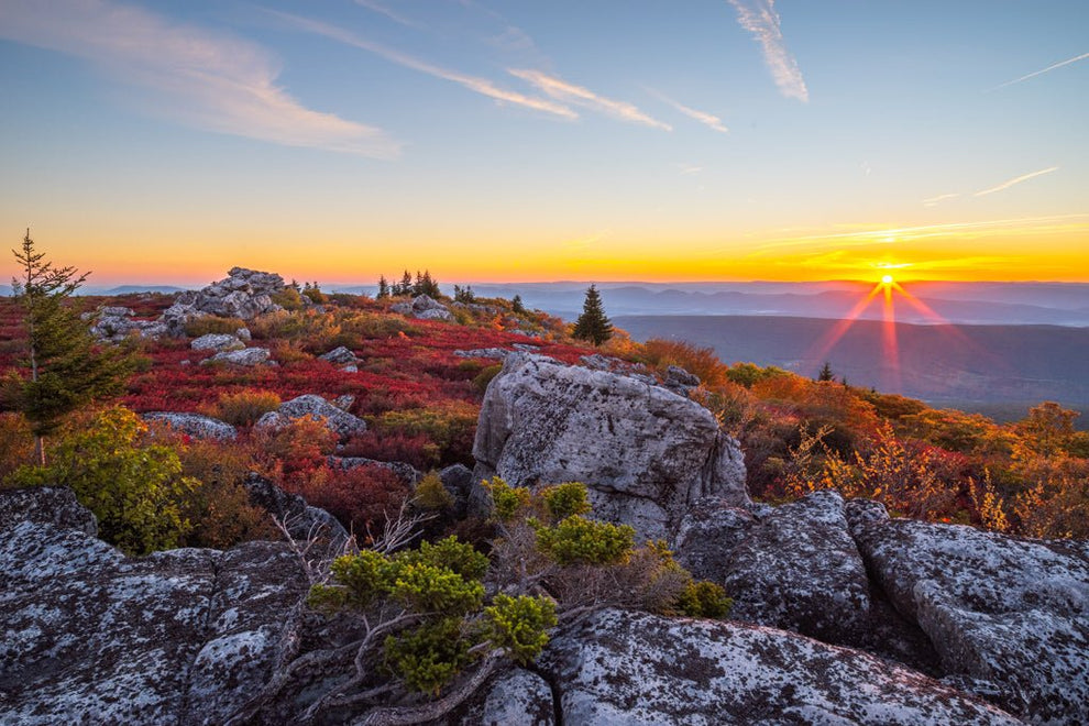 Dolly Sods Autumn Sunrise - West Virginia – Reflection in a Pool