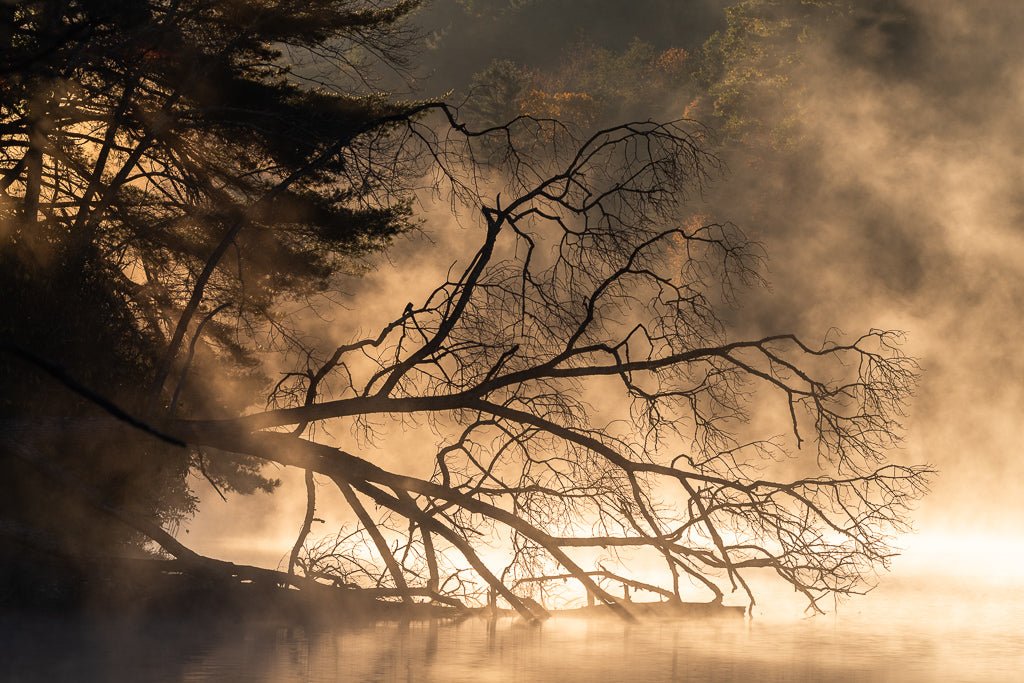 Morning Light on the Lake - Reflection in a Pool