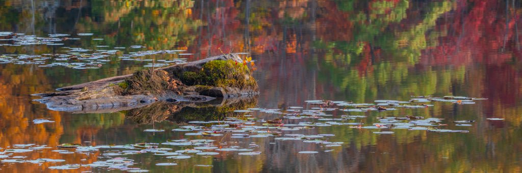 Potpourri - Reflection in a Pool